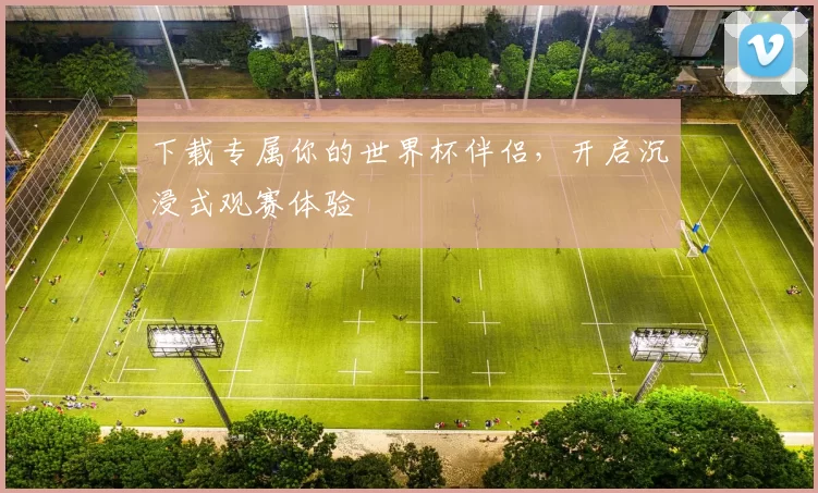 下载专属你的世界杯伴侣，开启沉浸式观赛体验