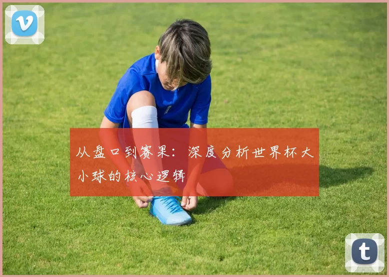 从盘口到赛果：深度分析世界杯大小球的核心逻辑