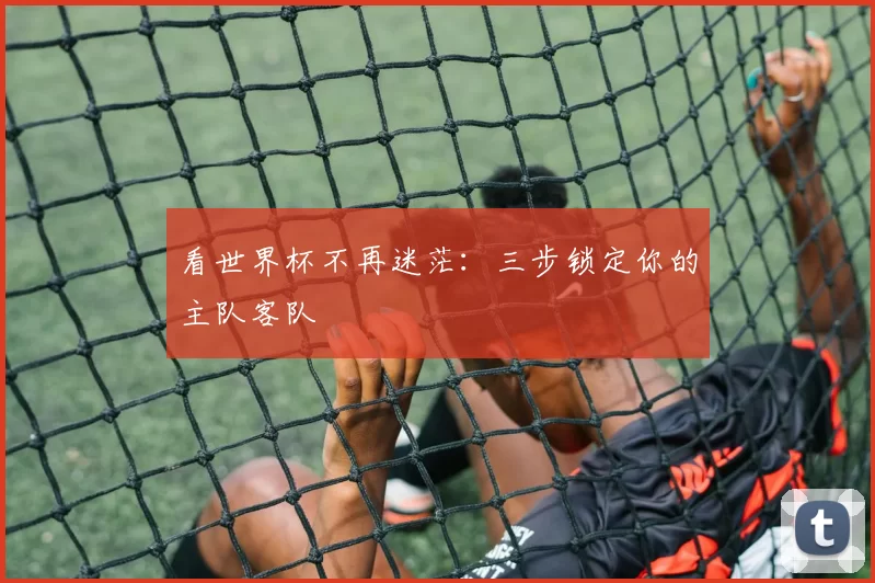 看世界杯不再迷茫:三步锁定你的主队客队