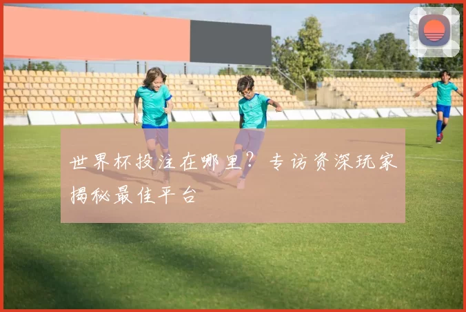 世界杯投注在哪里?专访资深玩家揭秘最佳平台