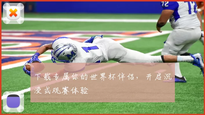 下载专属你的世界杯伴侣，开启沉浸式观赛体验