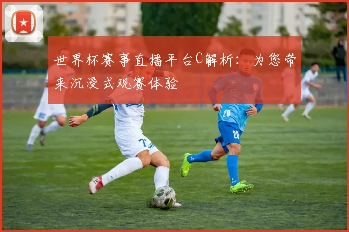 世界杯赛事直播平台C解析:为您带来沉浸式观赛体验