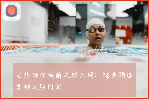 当终场哨响前皮球入网:瑞典预选赛的决胜时刻