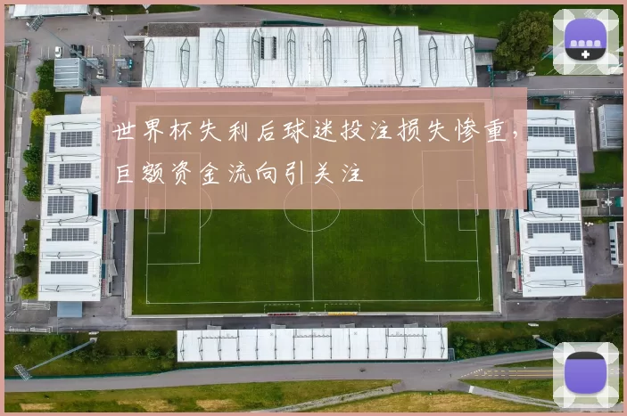 世界杯失利后球迷投注损失惨重,巨额资金流向引关注