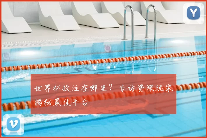 世界杯投注在哪里?专访资深玩家揭秘最佳平台